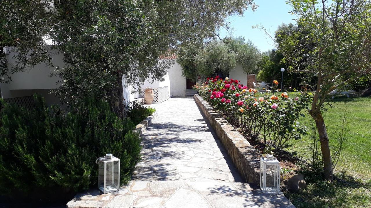 Marios Garden House Appartement Afytos Buitenkant foto